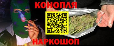 крисы Кингисепп