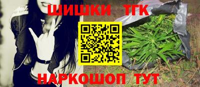 крисы Кингисепп