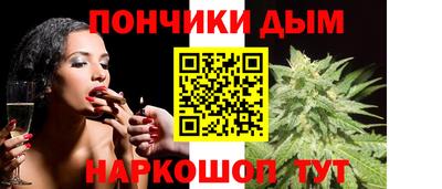 крисы Кингисепп
