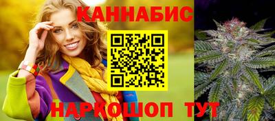 крисы Кингисепп