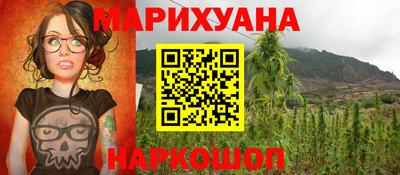 крисы Кингисепп