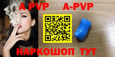 крисы Кингисепп