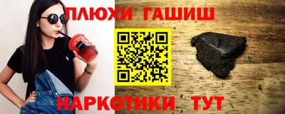 крисы Кингисепп