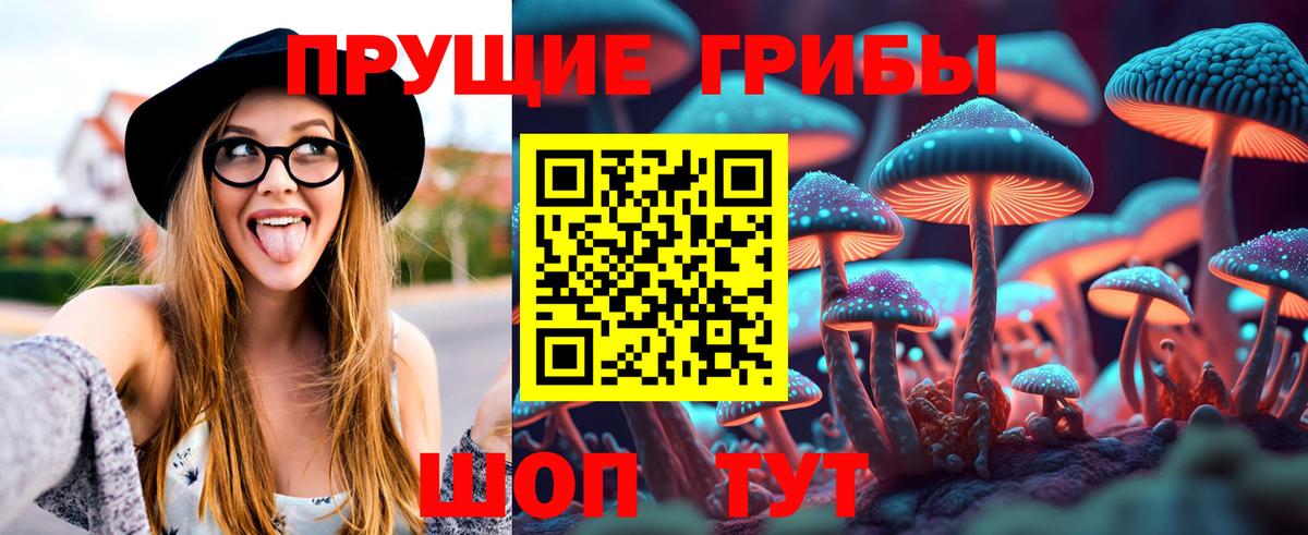 Псилоцибиновые грибы ЛСД Краснознаменск
